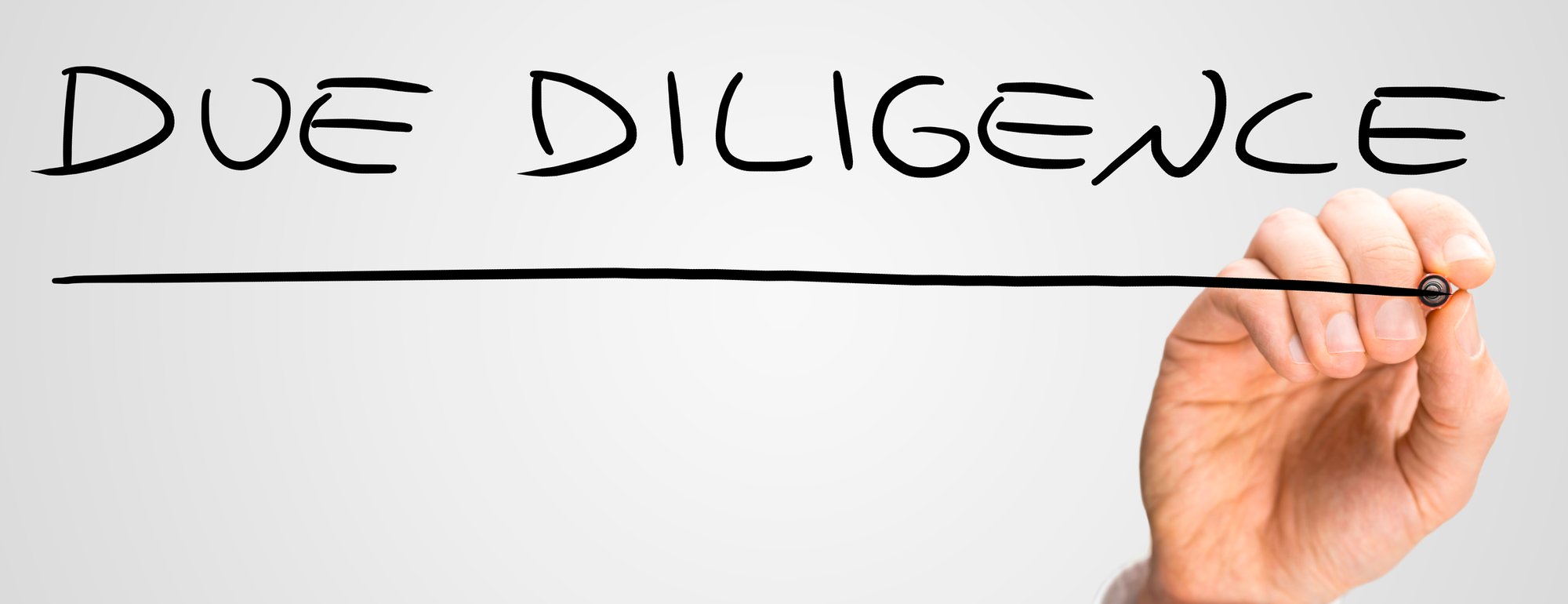 Due Diligence
