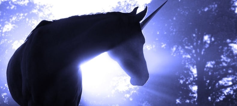 The Youngest Tech Unicorns